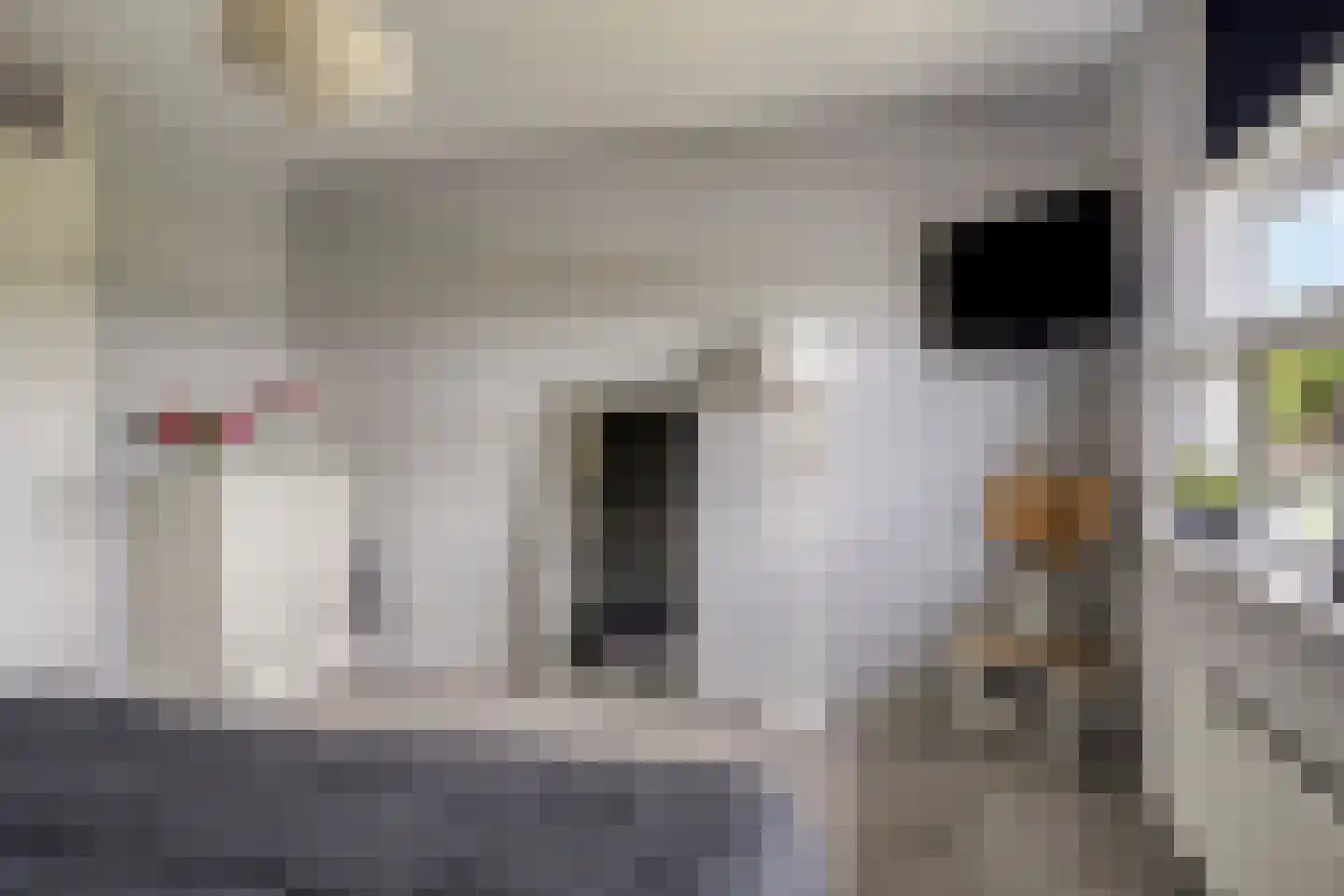 Vogelvlinder 18 Enschede thumbnail 24