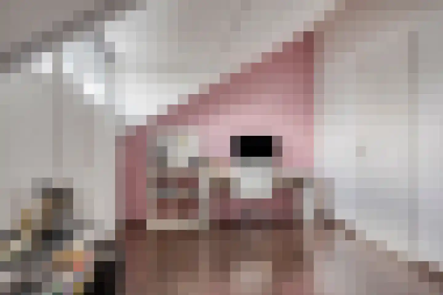 Vogelvlinder 18 Enschede thumbnail 36