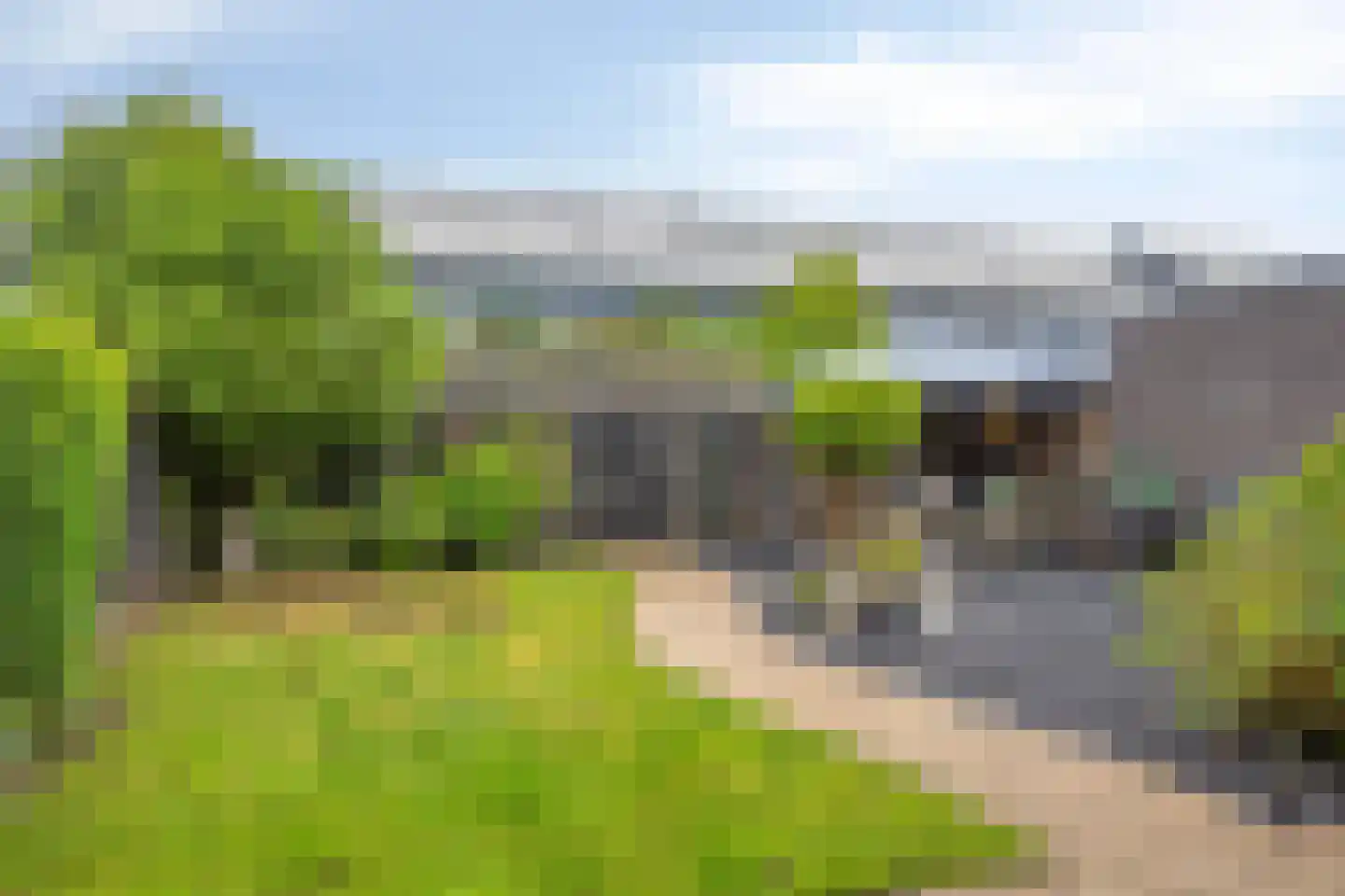 Vogelvlinder 18 Enschede thumbnail 42
