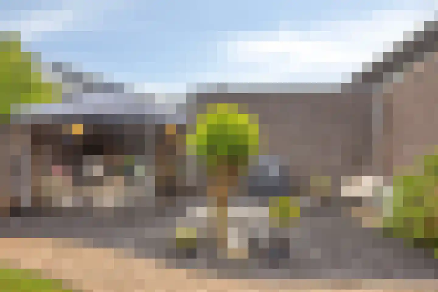 Vogelvlinder 18 Enschede thumbnail 43