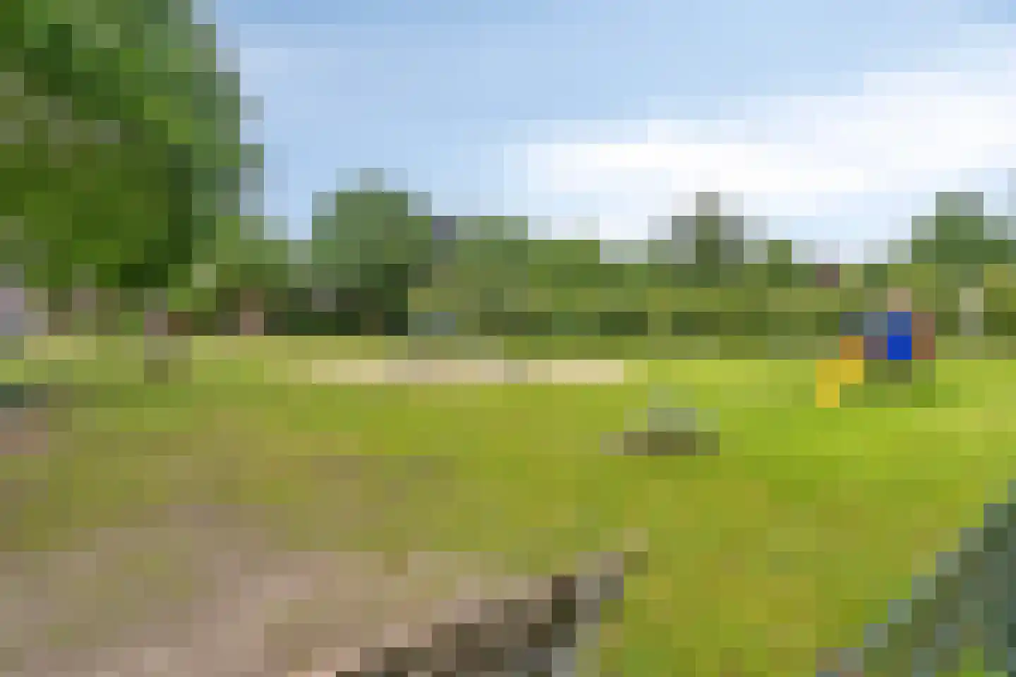 Vogelvlinder 18 Enschede thumbnail 47
