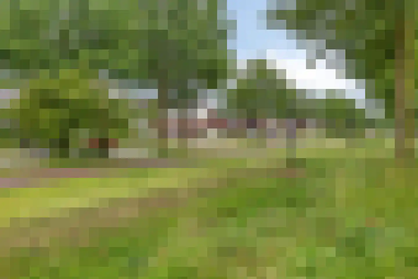 Vogelvlinder 18 Enschede thumbnail 48