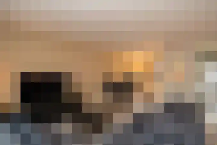 Vogelvlinder 6 Enschede thumbnail 10