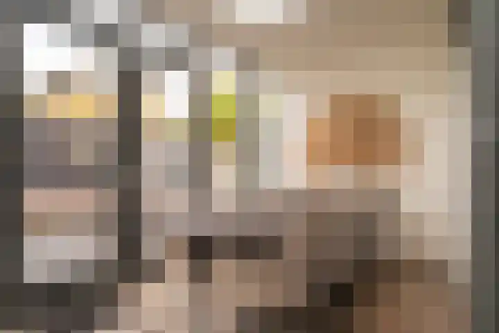 Vogelvlinder 6 Enschede thumbnail 12