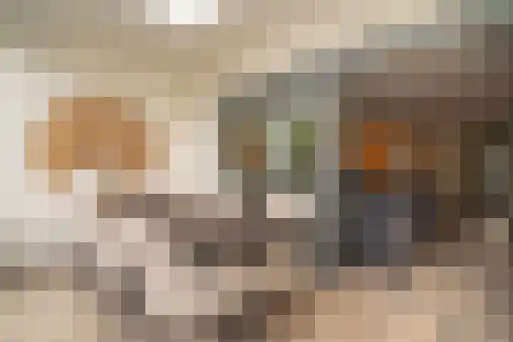 Vogelvlinder 6 Enschede thumbnail 13