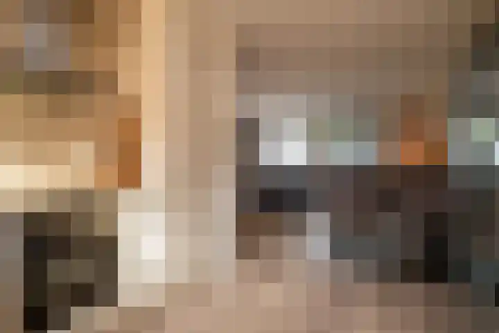 Vogelvlinder 6 Enschede thumbnail 17