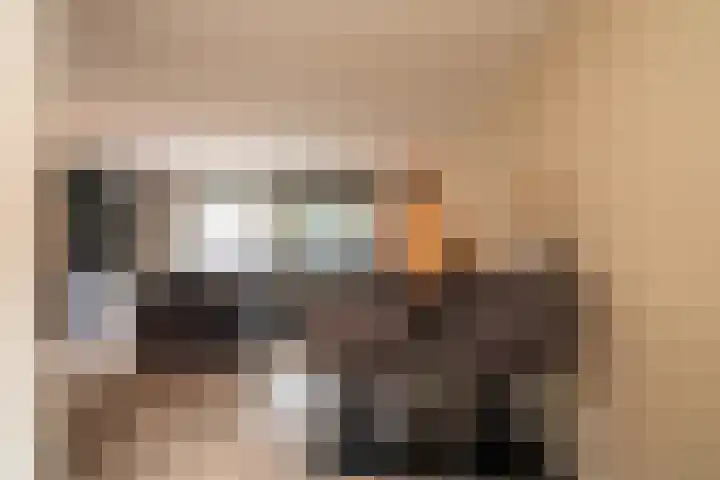 Vogelvlinder 6 Enschede thumbnail 18