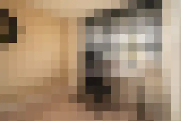 Vogelvlinder 6 Enschede thumbnail 23