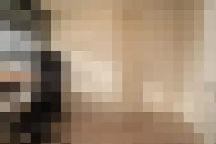 Vogelvlinder 6 Enschede thumbnail 24