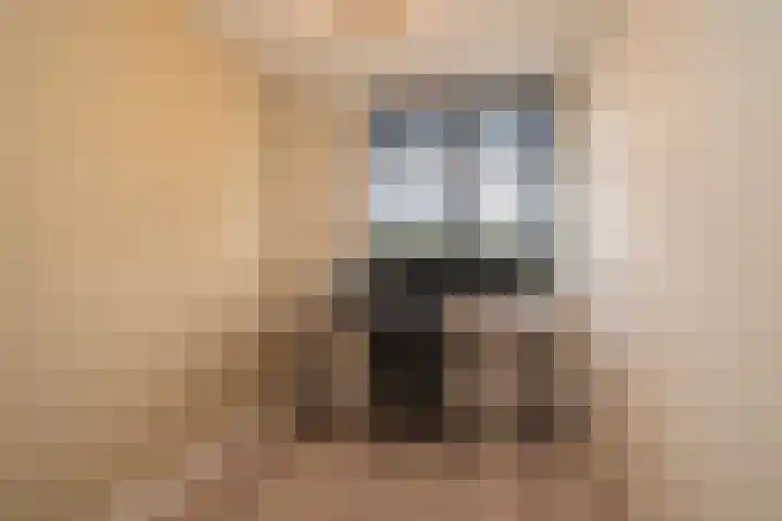 Vogelvlinder 6 Enschede thumbnail 25
