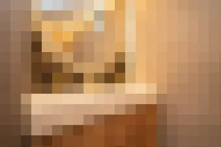 Vogelvlinder 6 Enschede thumbnail 27