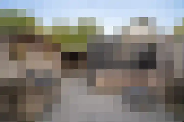 Vogelvlinder 6 Enschede thumbnail 32