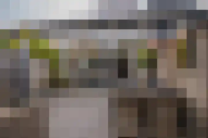 Vogelvlinder 6 Enschede thumbnail 33