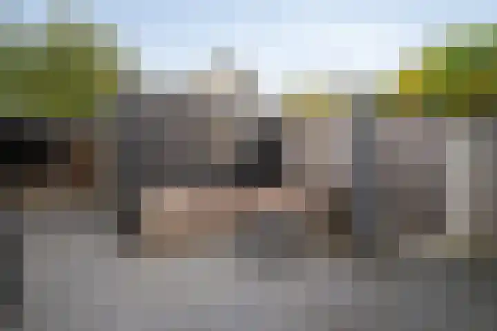 Vogelvlinder 6 Enschede thumbnail 34