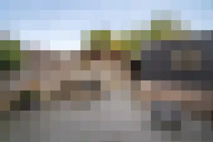 Vogelvlinder 6 Enschede thumbnail 35