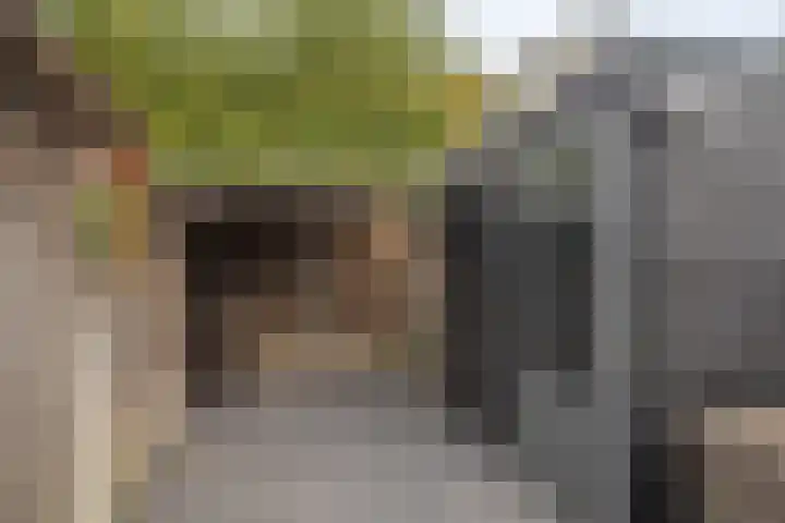 Vogelvlinder 6 Enschede thumbnail 38
