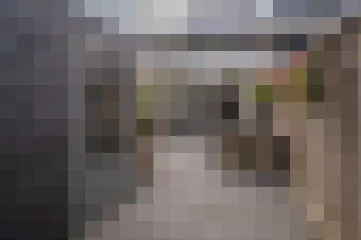 Vogelvlinder 6 Enschede thumbnail 39