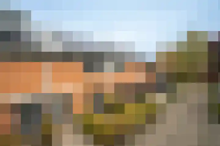 Vogelvlinder 6 Enschede thumbnail 5