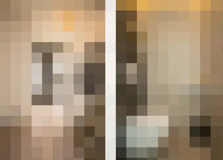 Vogelvlinder 6 Enschede thumbnail 6