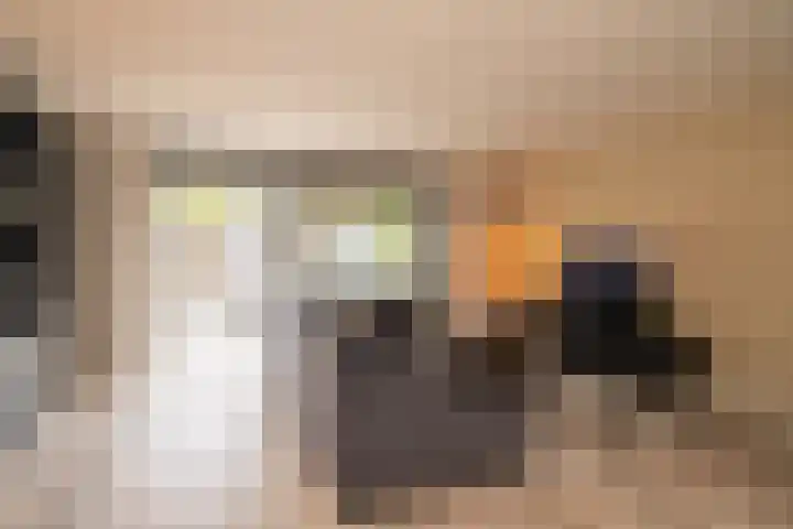 Vogelvlinder 6 Enschede thumbnail 7