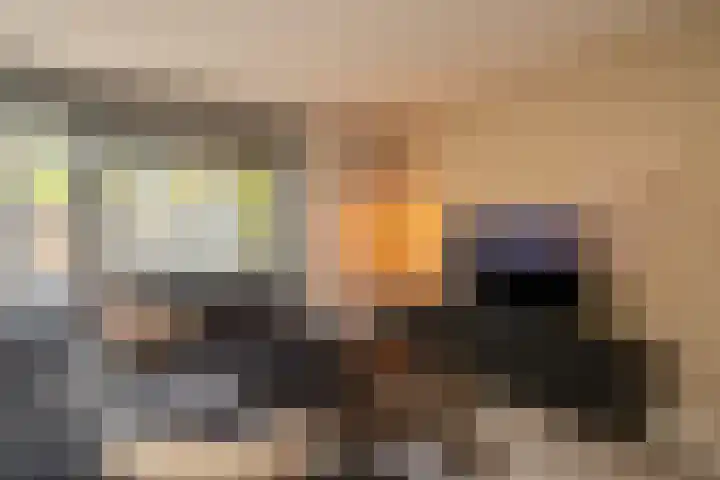 Vogelvlinder 6 Enschede thumbnail 8