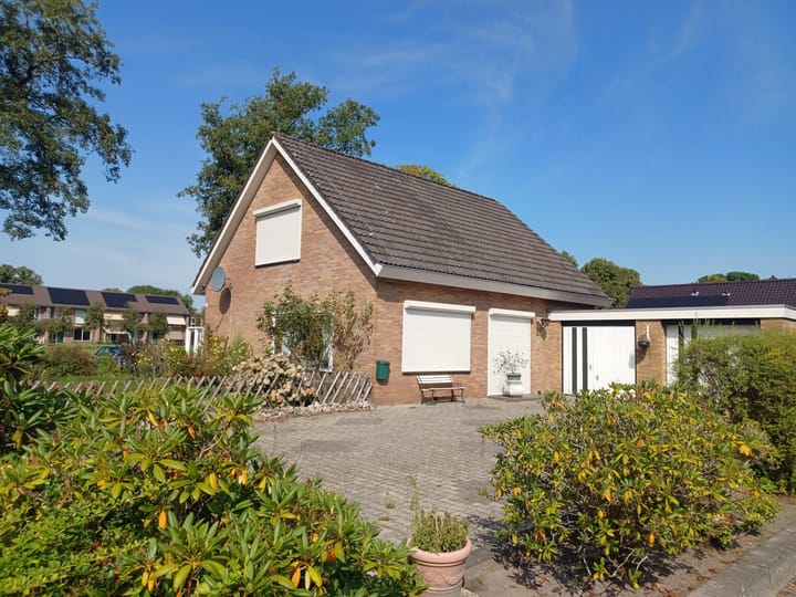 Vogelvlucht 1 en Nieuw-Amsterdam foto