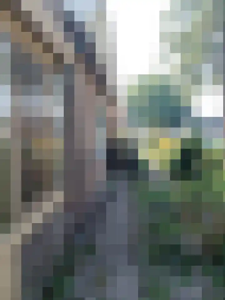 Vogelvlucht 1 Nieuw-Amsterdam thumbnail 5