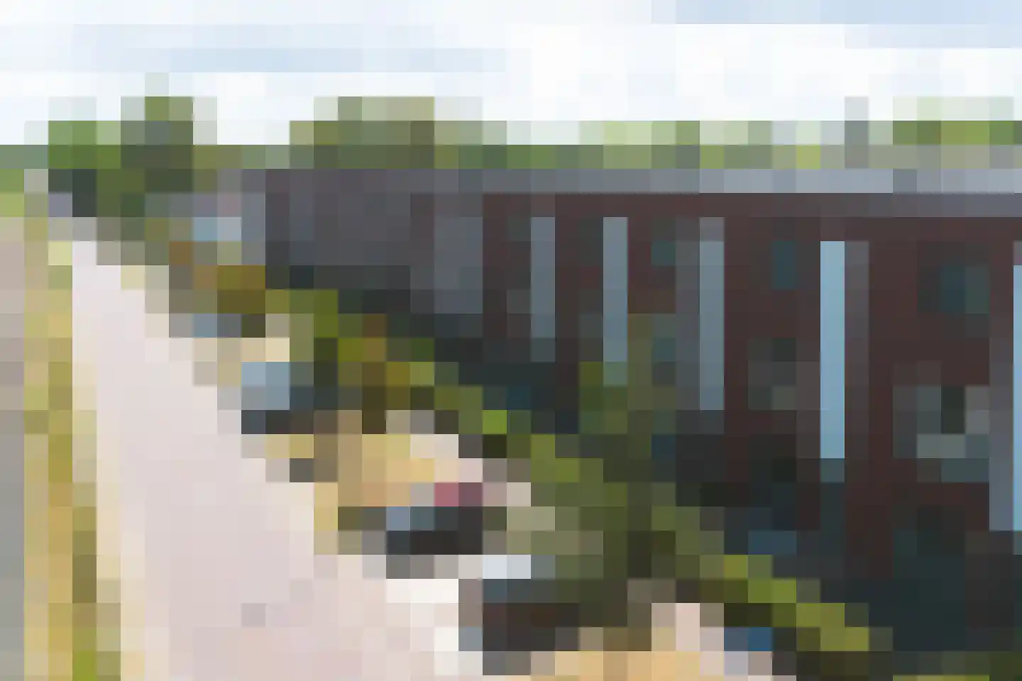 Vogelvlucht 25 Apeldoorn thumbnail 40