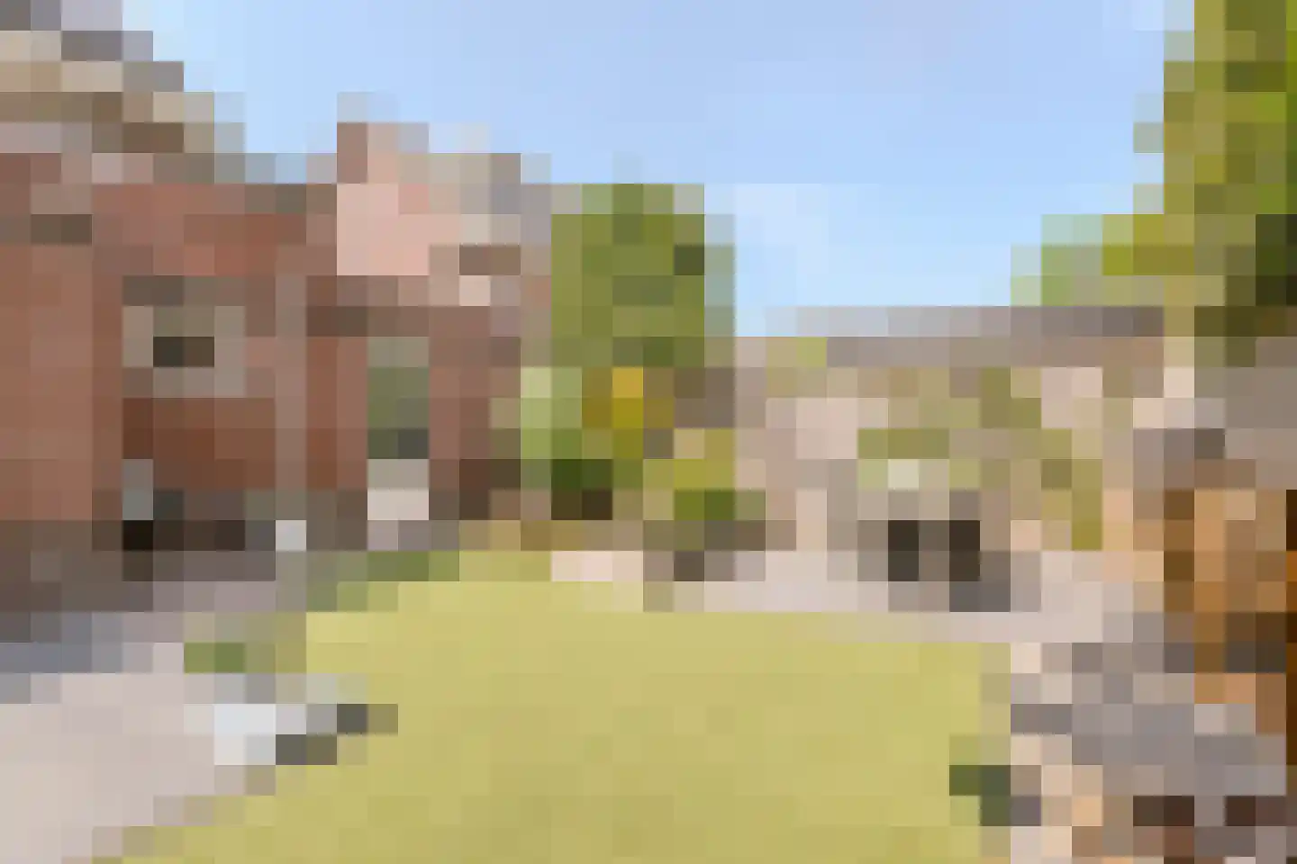 Vogelvlucht 4 Gilze thumbnail 4