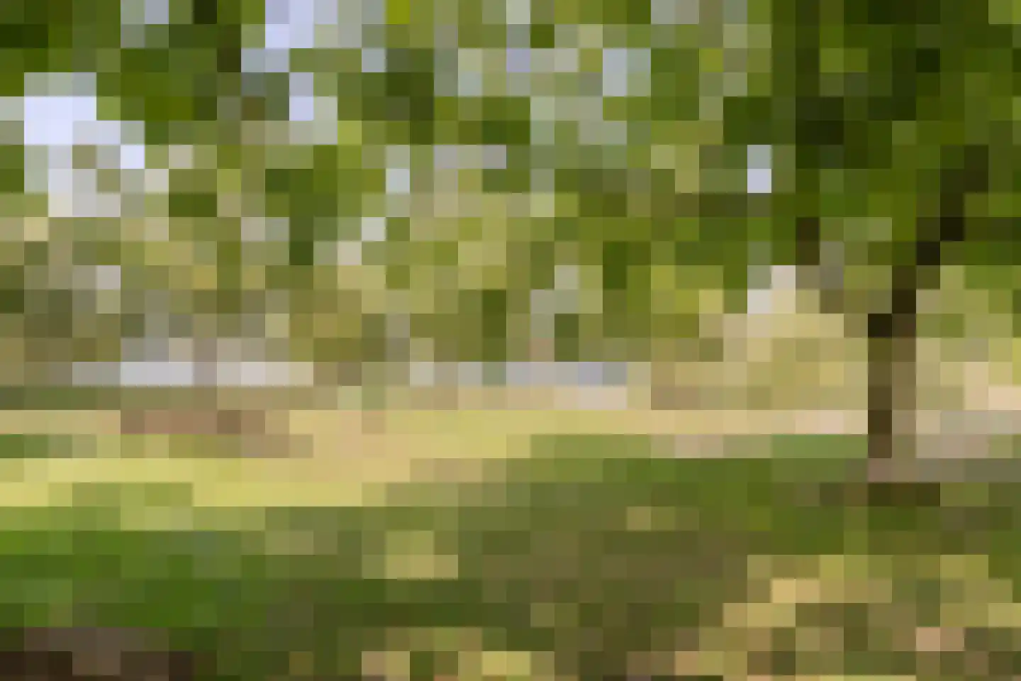 Vogelvlucht 4 Gilze thumbnail 45