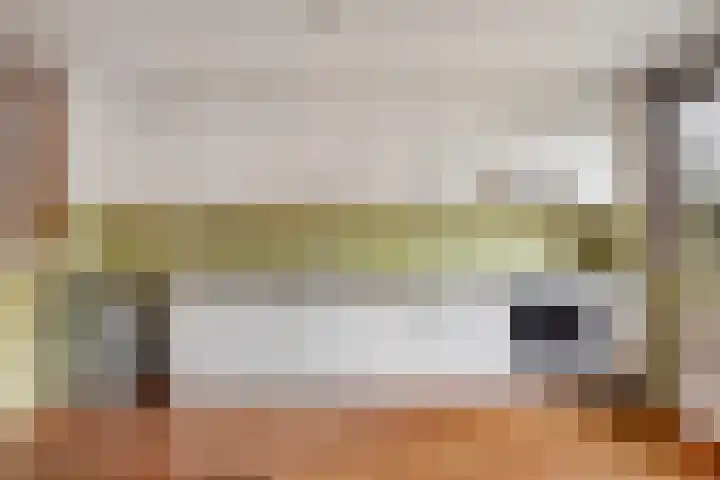 Vogelwaarde 123 Haarlem thumbnail 10