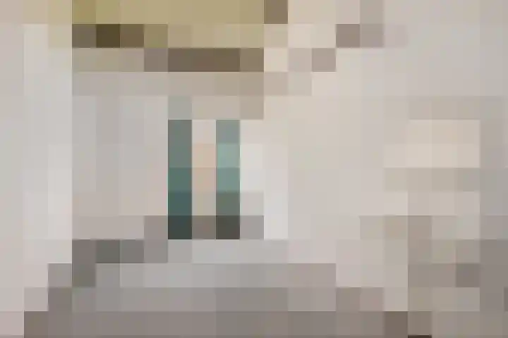 Vogelwaarde 123 Haarlem thumbnail 15