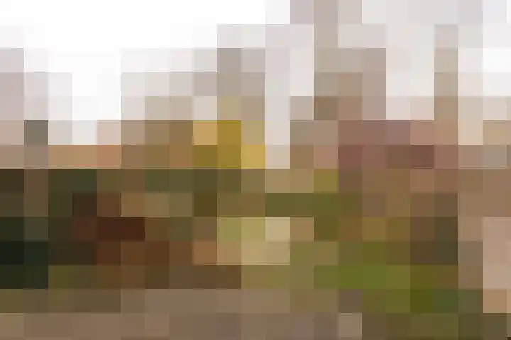 Vogelwaarde 123 Haarlem thumbnail 23
