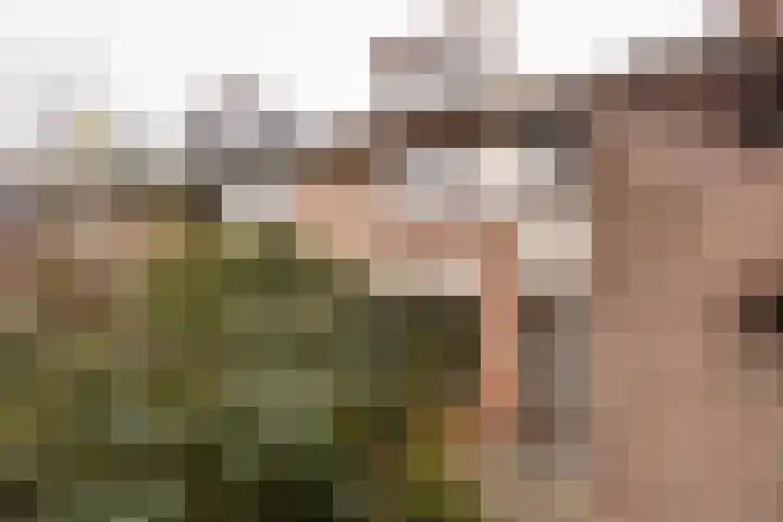 Vogelwaarde 123 Haarlem thumbnail 24