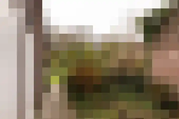 Vogelwaarde 123 Haarlem thumbnail 25