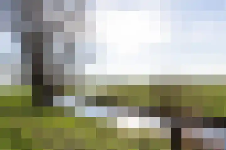 Vogelwaarde 123 Haarlem thumbnail 27
