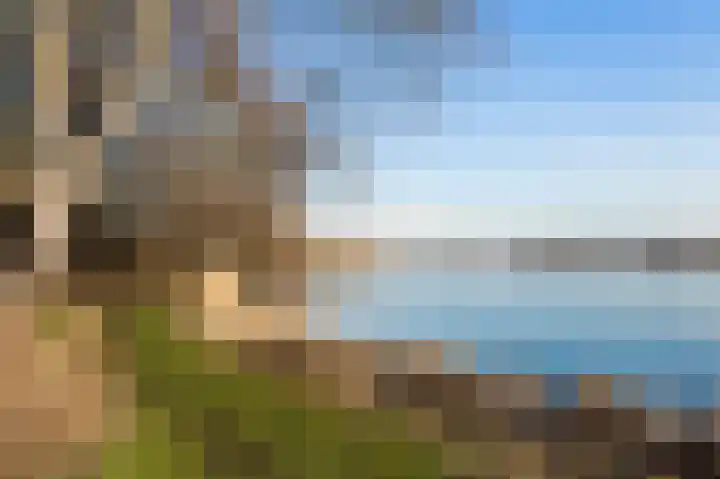 Vogelwaarde 123 Haarlem thumbnail 28