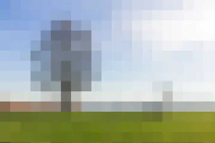 Vogelwaarde 123 Haarlem thumbnail 30