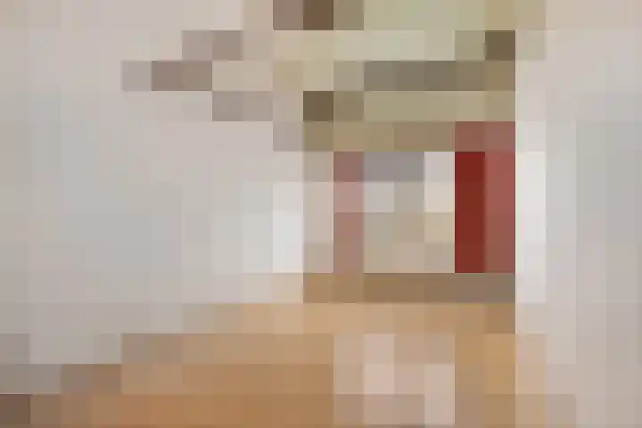 Vogelwaarde 123 Haarlem thumbnail 4