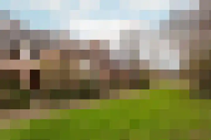 Vogelwaarde 123 Haarlem thumbnail 6