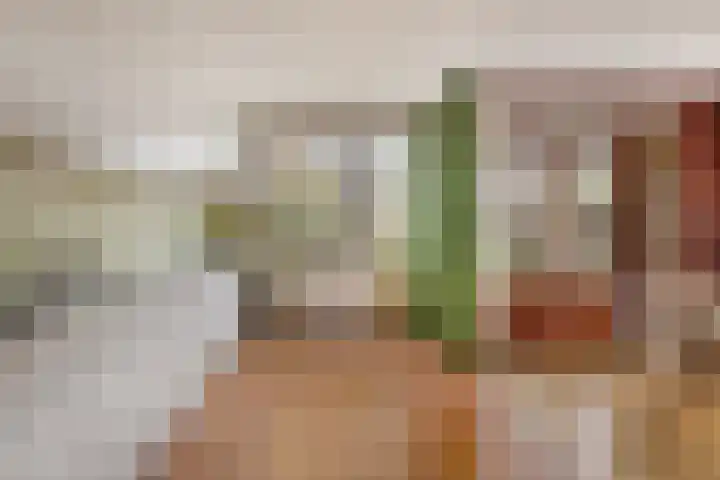 Vogelwaarde 123 Haarlem thumbnail 9