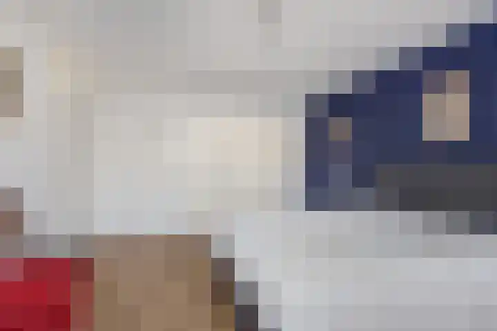 Vogelwaarde 61 Haarlem thumbnail 13