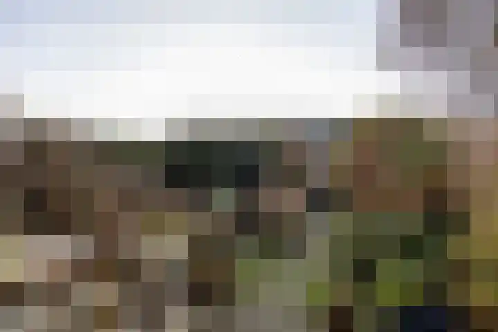 Vogelwaarde 61 Haarlem thumbnail 19