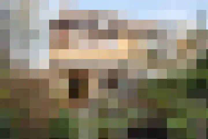 Vogelwaarde 61 Haarlem thumbnail 20