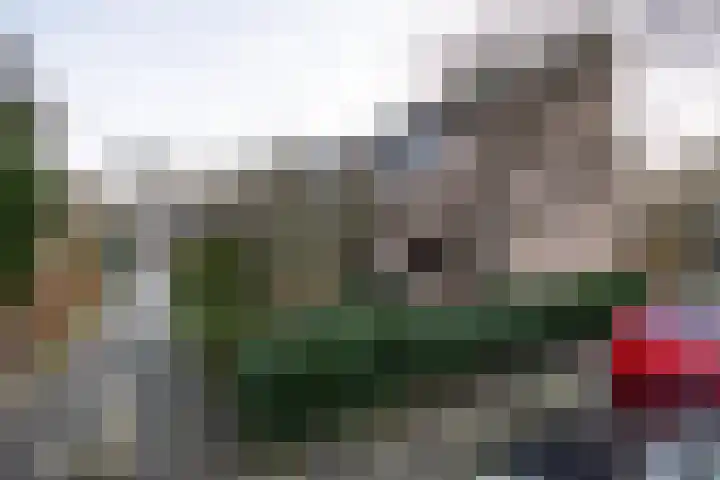 Vogelwaarde 61 Haarlem thumbnail 21
