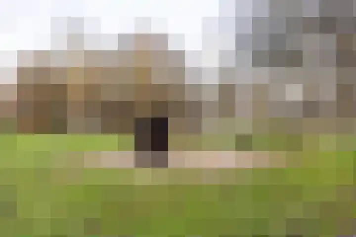 Vogelwaarde 61 Haarlem thumbnail 22