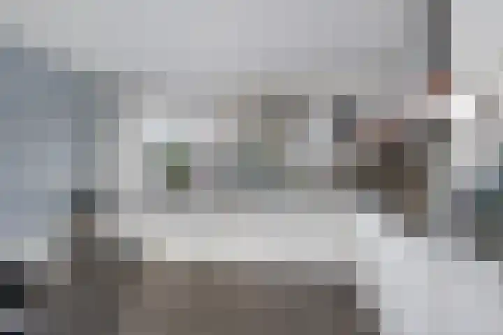 Vogelwaarde 61 Haarlem thumbnail 7