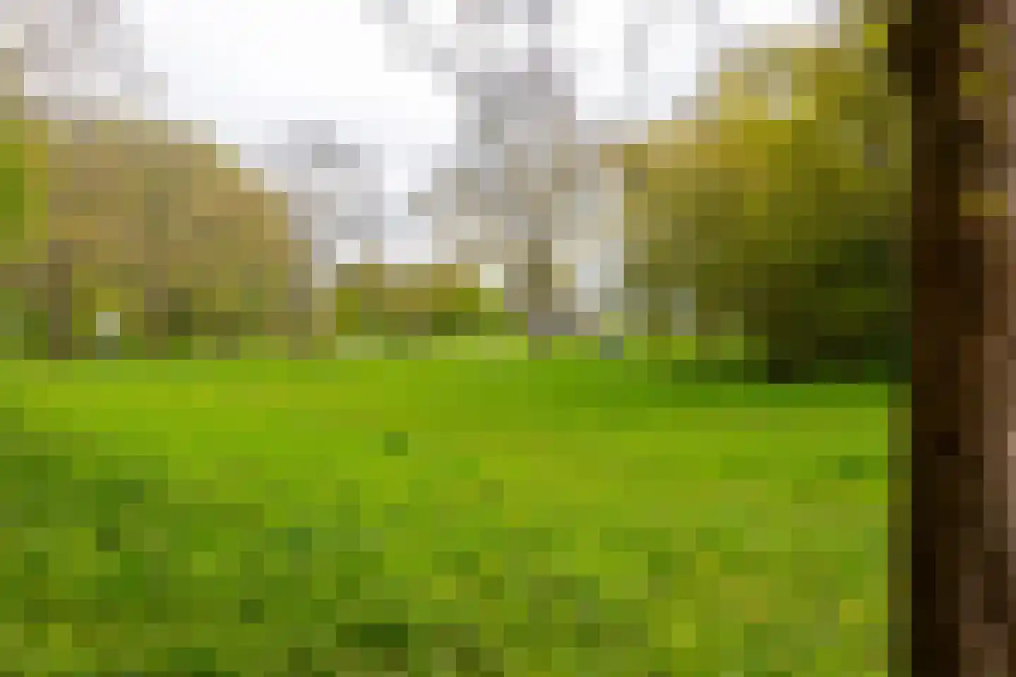 Vogelwaarde 62 Haarlem thumbnail 31