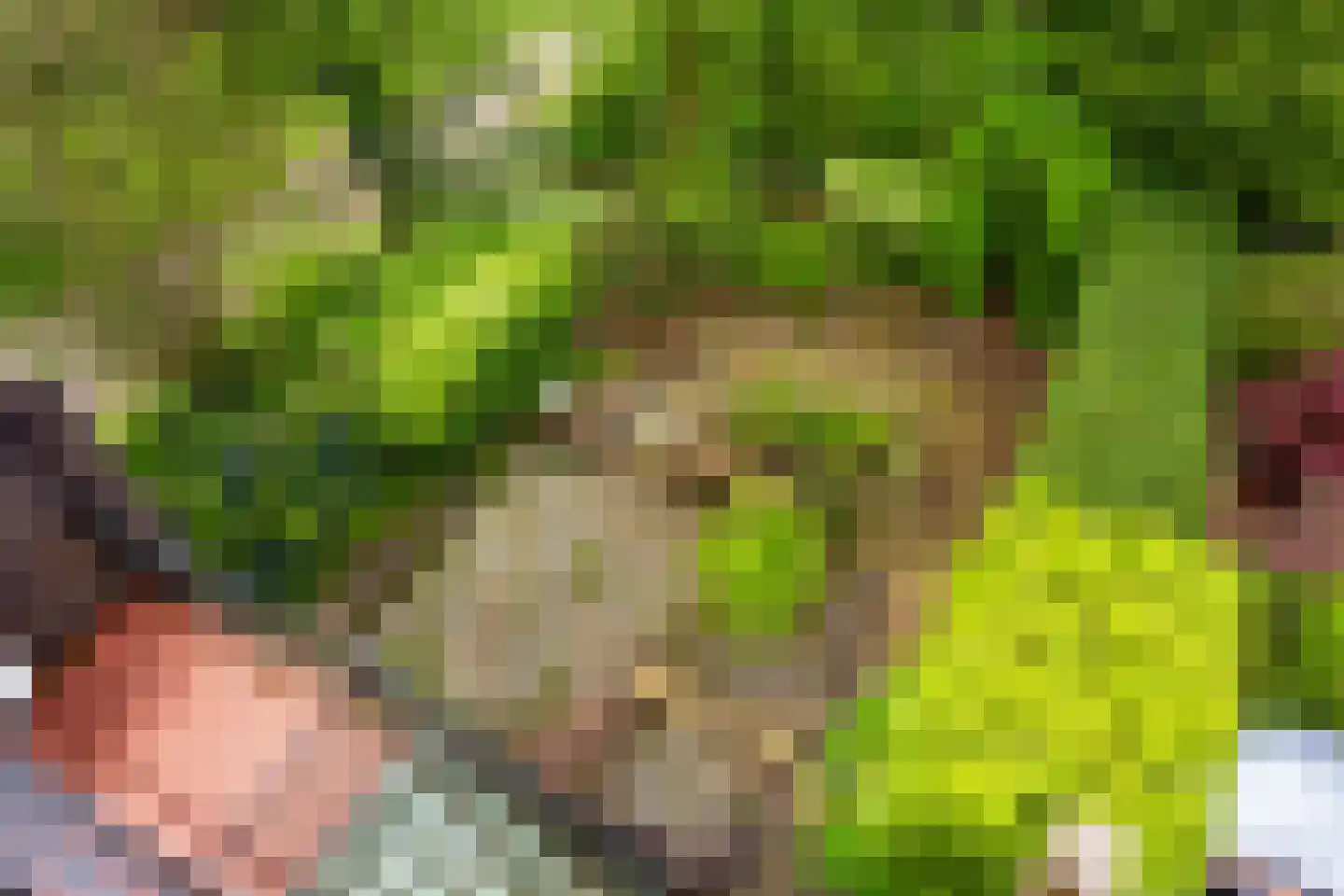 Vogelwaarde 62 Haarlem thumbnail 31