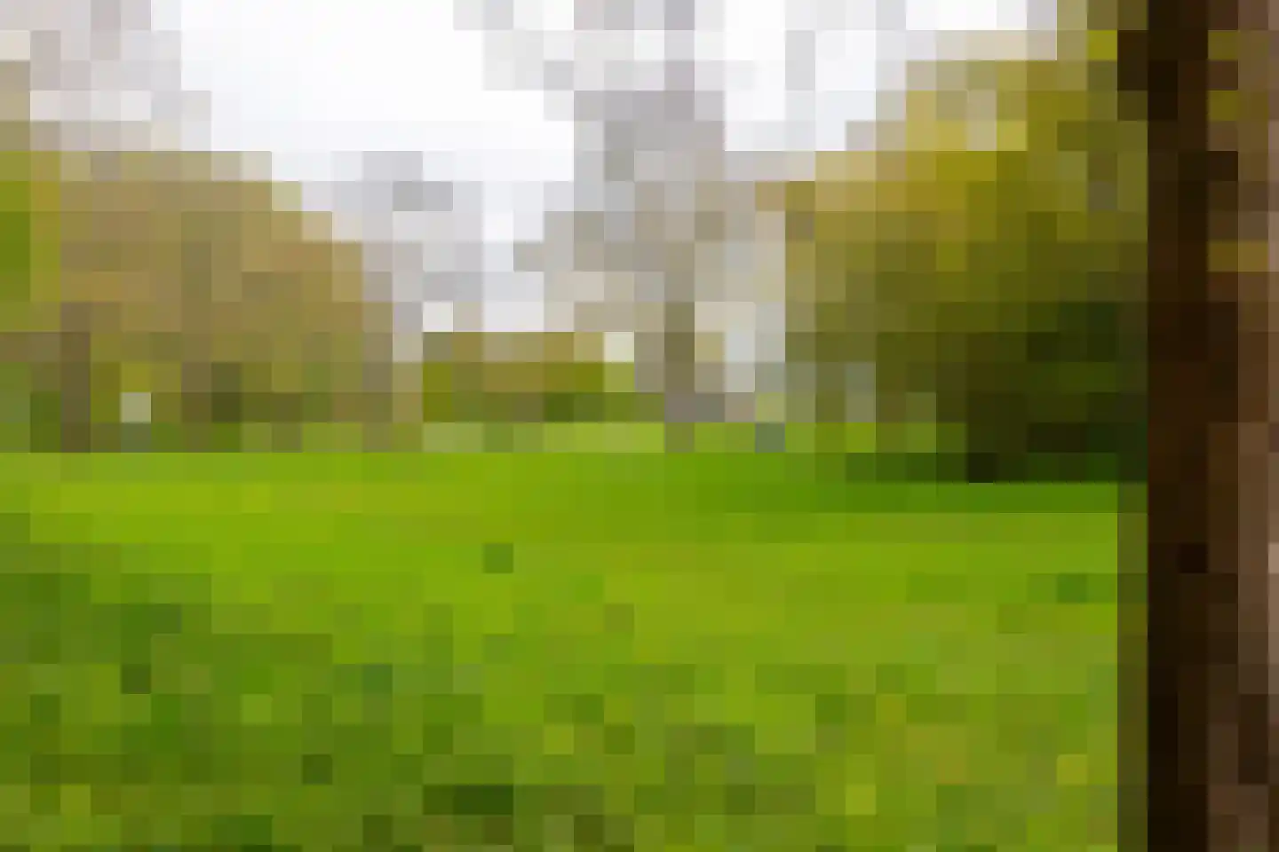 Vogelwaarde 62 Haarlem thumbnail 34